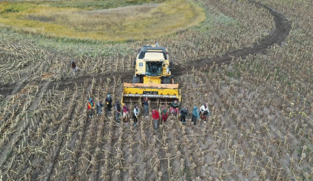 Foto - Mevsimlik tarım işçileri için yeni karar!