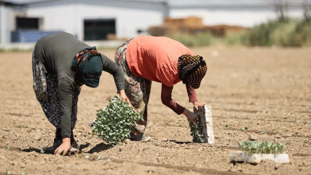 Foto - Mevsimlik tarım işçileri için yeni karar!