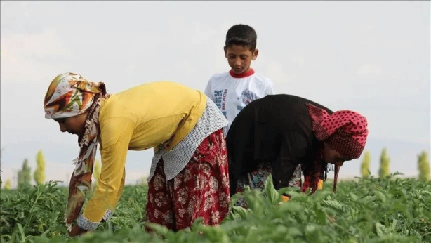 Foto - Mevsimlik tarım işçileri için yeni karar!