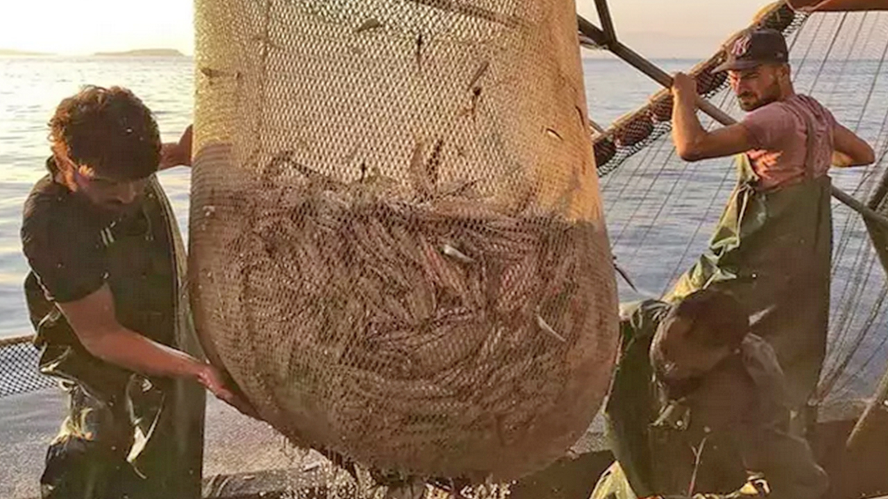 Foto - Mevzuata aykırı hareket edenlere kötü haber: Bu kurala uymayanlar 170 bin lira ödemeyi göze alsın