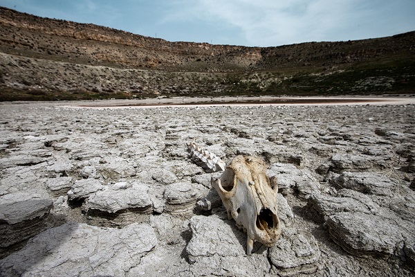 Foto - Meyil Obruk Gölü kızıl renge büründü