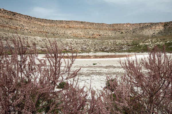 Foto - Meyil Obruk Gölü kızıl renge büründü