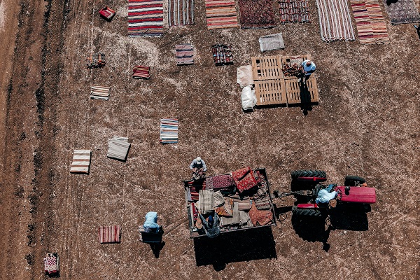 Foto - Meyve sebze değil! Milyonluk hasat başladı