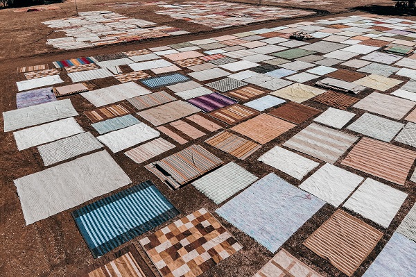 Foto - Meyve sebze değil! Milyonluk hasat başladı