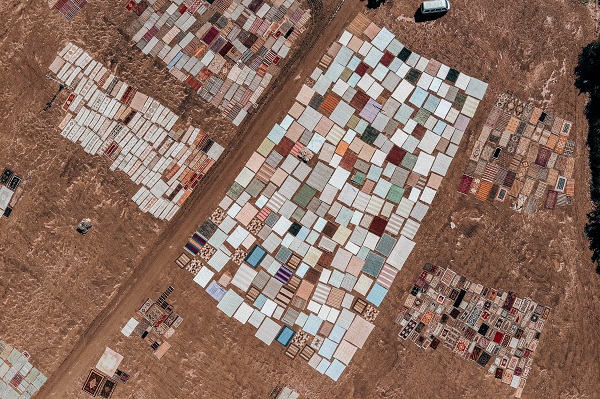 Foto - Meyve sebze değil! Milyonluk hasat başladı