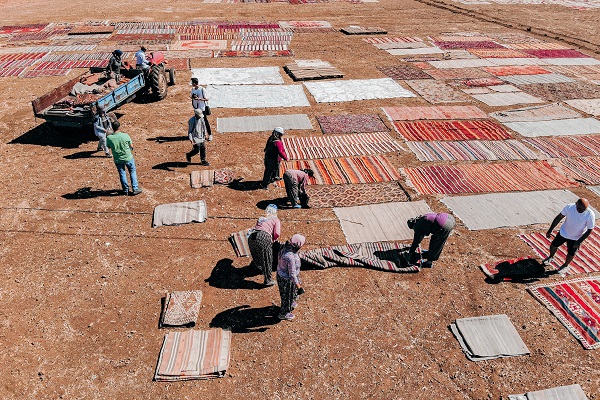 Foto - Meyve sebze değil! Milyonluk hasat başladı