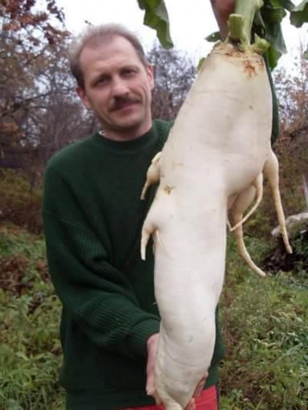 Foto - Meyve-sebzelerin boyutları şaşırtıyor!