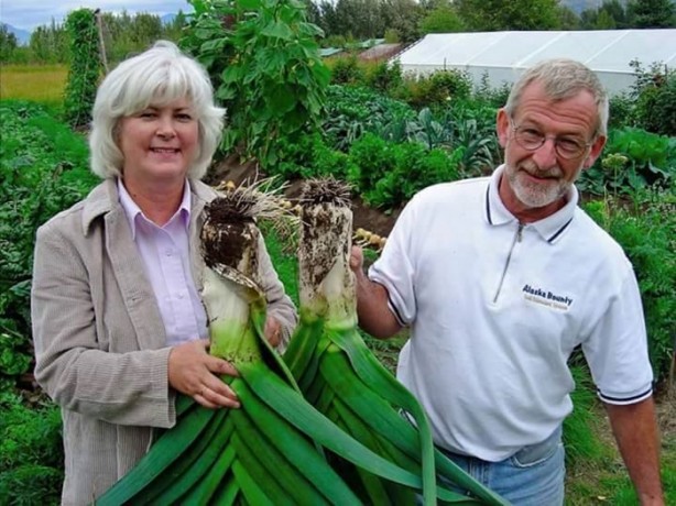 Foto - Meyve-sebzelerin boyutları şaşırtıyor!