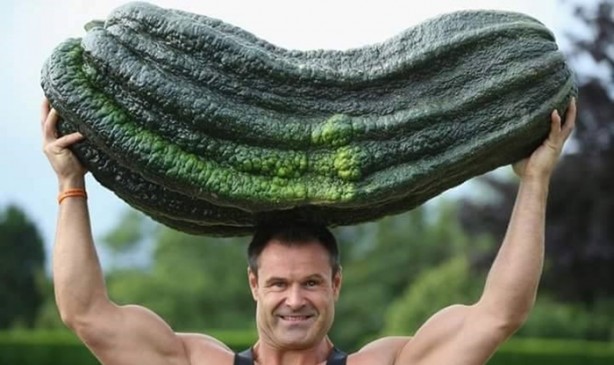 Foto - Meyve-sebzelerin boyutları şaşırtıyor!