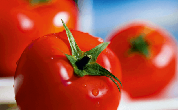 Foto - O dünyanın en pahalı meyvesi!