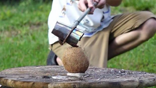 Foto - Meyvelere erimiş tuz döktü!