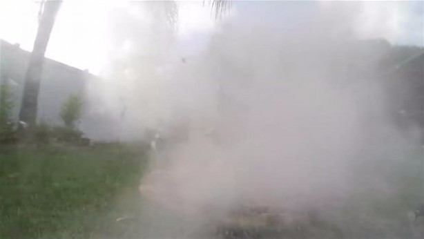 Foto - Meyvelere erimiş tuz döktü!