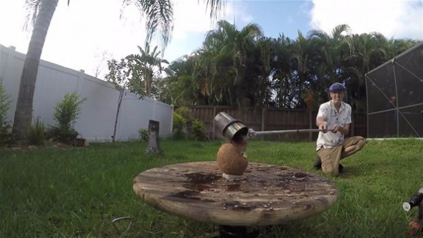 Foto - Meyvelere erimiş tuz döktü!