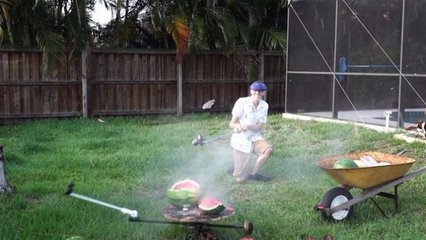 Foto - Meyvelere erimiş tuz döktü!