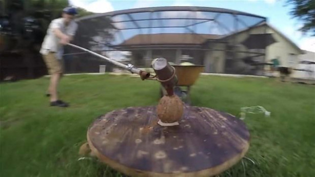 Foto - Meyvelere erimiş tuz döktü!