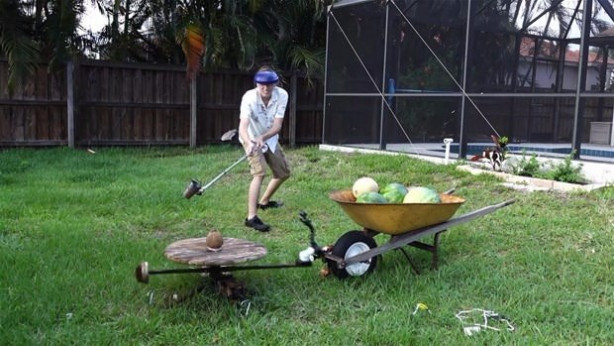 Foto - Meyvelere erimiş tuz döktü!