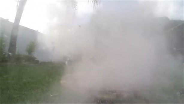 Foto - Meyvelerin içine erimiş tuz döktü!