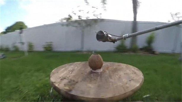 Foto - Meyvelerin içine erimiş tuz döktü!