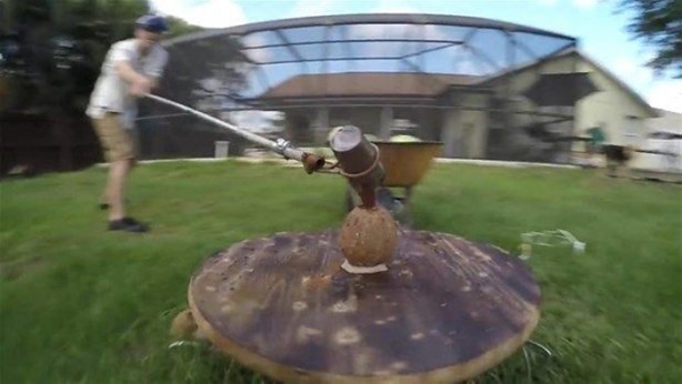 Foto - Meyvenin içine erimiş tuz döktüler!