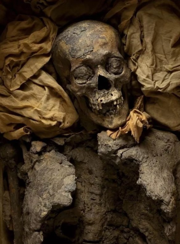 Foto - Mezardan servet çıktı