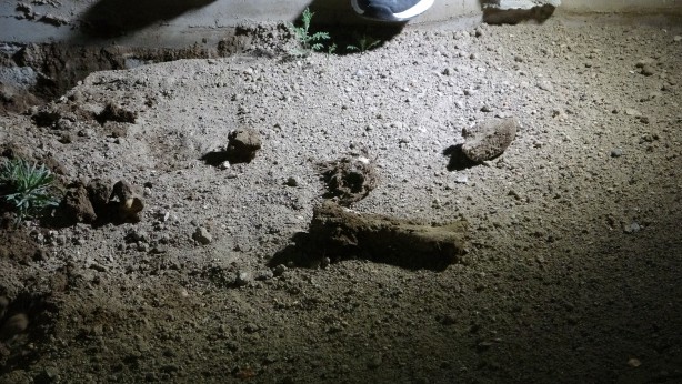 Foto - Mezarlıkta gece yarısı hareketli saatler! 'Buldum' dedi, ortalık karıştı