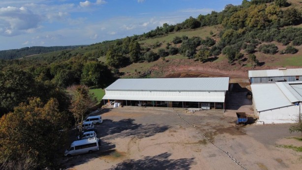 Foto - Mezbahayı fabrikaya çevirdiler! Üretim yapıyorlar