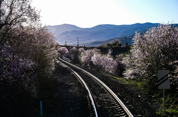 Foto - 'Mezopotamya Ekspresi' turlarına başlıyor! İşte Türkiye'nin yeni turistik treni 