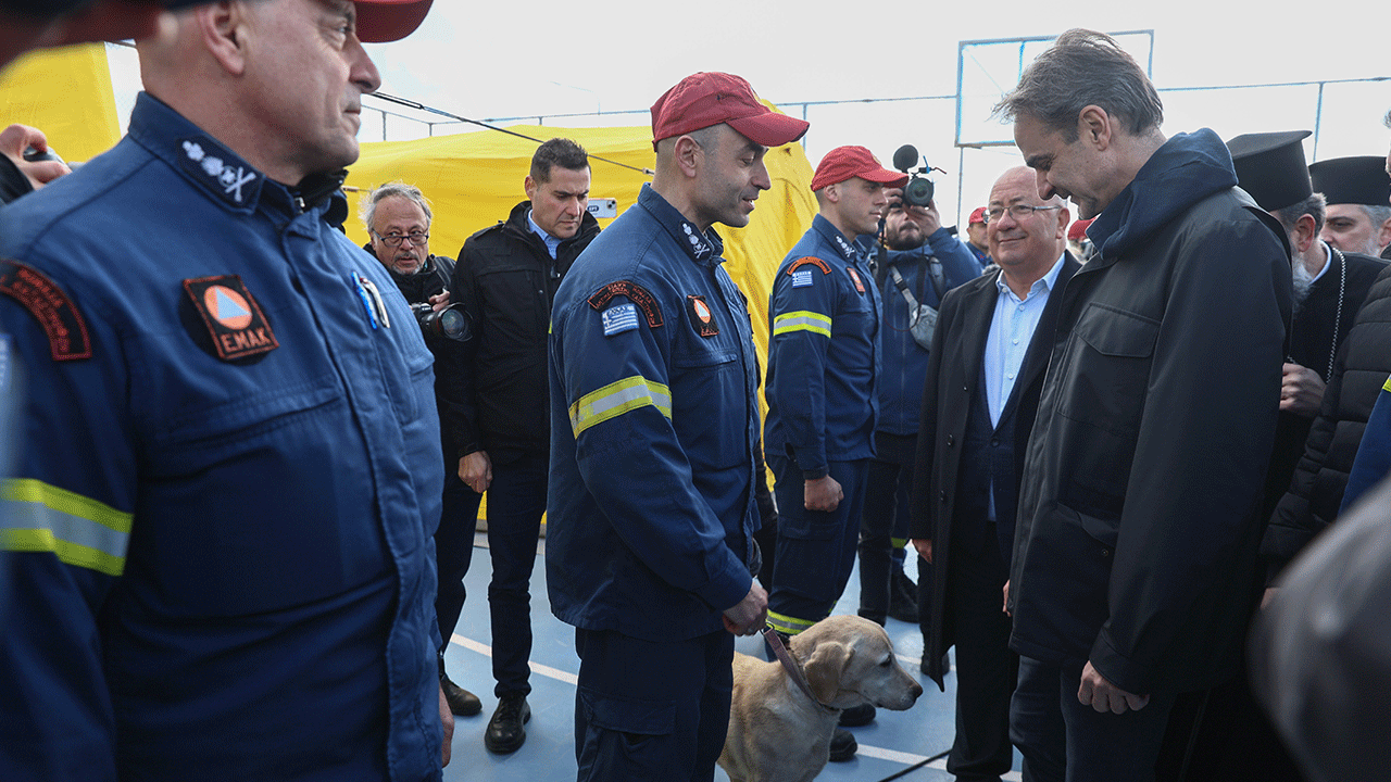 Foto - Miço deprem bölgesinde