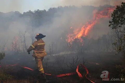 Foto - Miço suçluyu buldu! Botlarını şişleyip ölüme terk ettikleri yetmedi