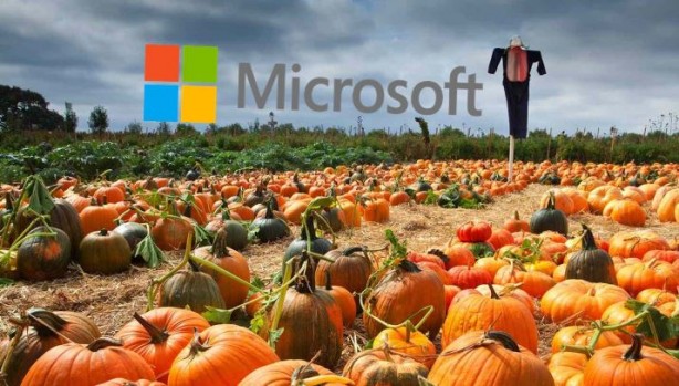 Microsoft, bir çiftçiye milyonlarca dolar ödeme yaptı
