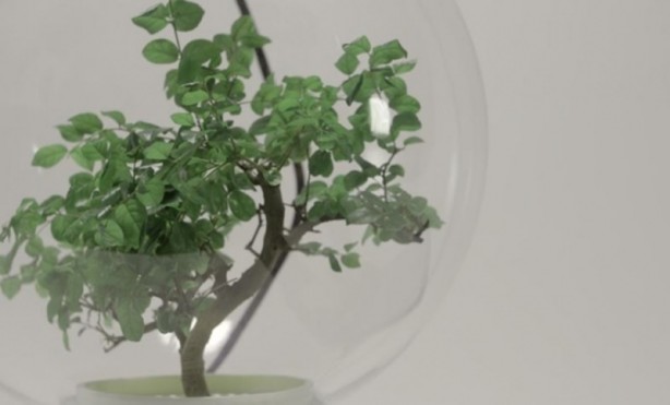 Foto - Microsoft bitkileri konuşturdu