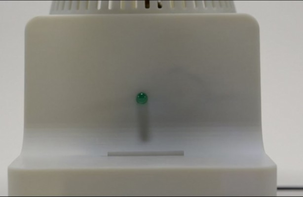 Foto - Microsoft bitkileri konuşturdu