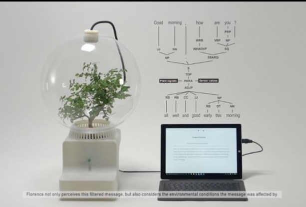 Foto - Microsoft bitkileri konuşturdu