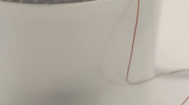 Foto - Microsoft bitkileri konuşturdu