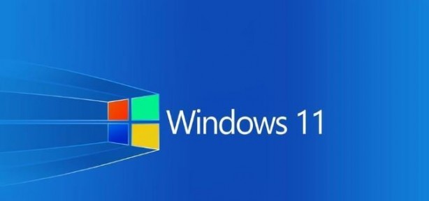 Foto - Microsoft sinir eden hatayı çözdü