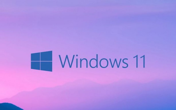 Foto - Microsoft sinir eden hatayı çözdü