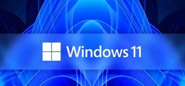 Foto - Microsoft sinir eden hatayı çözdü