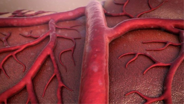 Foto - Mide ağrısı deyip geçmeyin: Hastanede gerçeği öğrenince şok oldu! 69 yaşındaki adam ölümden böyle döndü