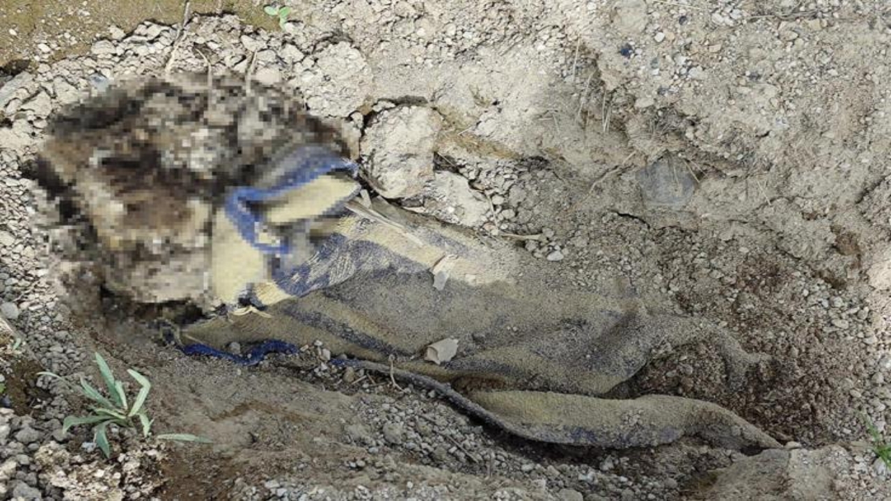 Foto - Mide bulandıran görüntüler o ilimizden! Koyun otlatan çoban boş arazide buldu! Rezalet ki ne rezalet