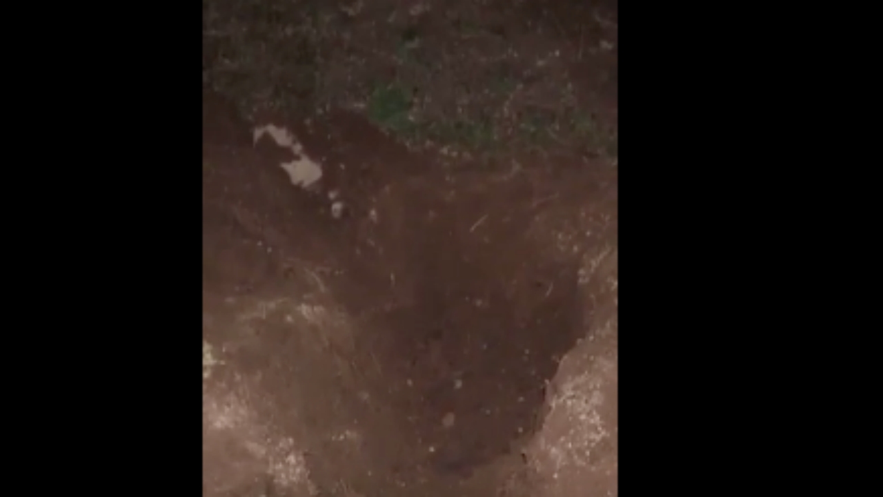 Foto - Mide bulandıran görüntüler o ilimizden! Koyun otlatan çoban boş arazide buldu! Rezalet ki ne rezalet