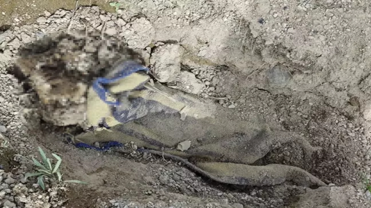 Foto - Mide bulandıran görüntüler o ilimizden! Koyun otlatan çoban boş arazide buldu! Rezalet ki ne rezalet