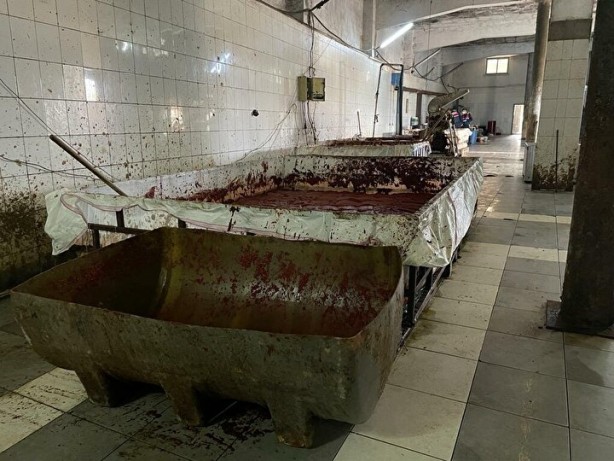 Foto - Mide bulandıran görüntüler! Yakalanmasalar vatandaşa yedireceklerdi