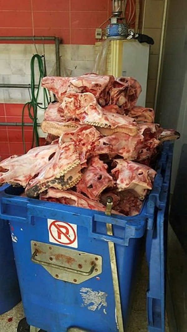 Foto - Mide bulandıran manzara! 'Koronavirüse iyi geliyor' diye vatandaşa yedireceklerdi
