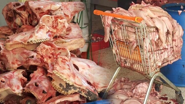 Foto - Mide bulandıran manzara! 'Koronavirüse iyi geliyor' diye vatandaşa yedireceklerdi