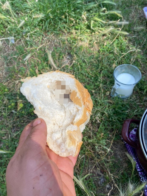 Foto - Mide bulandıran olay! Ekmeğin içinden fare çıktı