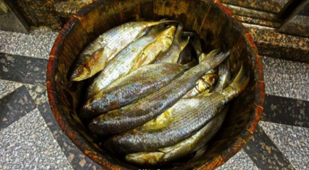 Foto - Mideniz bulanacak ama onlar bayılarak yiyor!