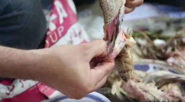 Foto - Mideniz bulanacak ama onlar bayılarak yiyor!