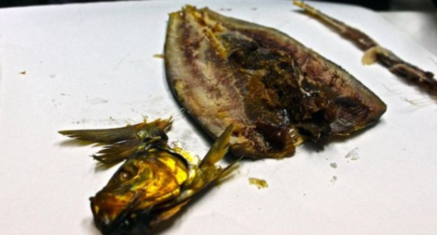 Mideniz bulanacak ama onlar bayılarak yiyor!