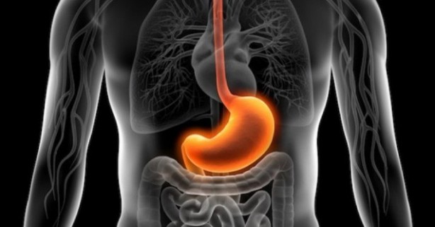 Foto - Mideniz yanıyorsa bu besinleri tüketin