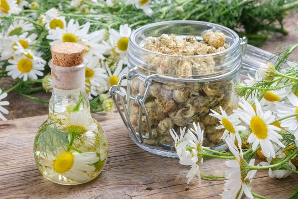 Midenizi koruyacak 10 sağlıklı besin! İşte sorunu tarihe karışıyor: sırrı öğrenildi, resmen sıfırlıyor